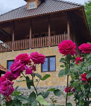 Rankovi Konaci Villa Zlatibor Buitenkant foto