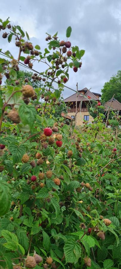 Rankovi Konaci Villa Zlatibor Buitenkant foto