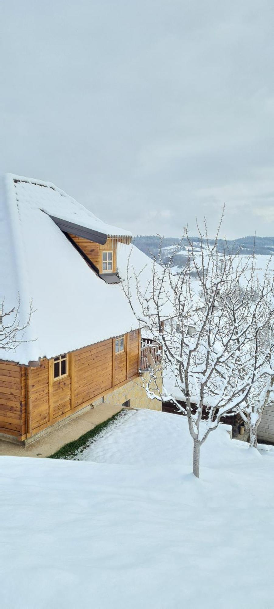 Rankovi Konaci Villa Zlatibor Kamer foto